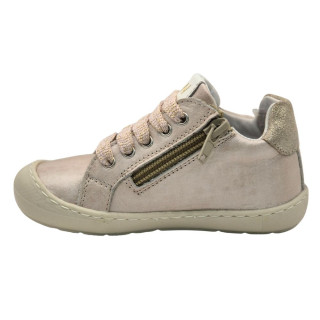 POLLINO CIPELA 4032 GOLD 