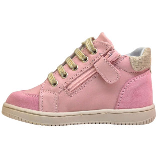 POLLINO STRADA CIPELA 4208 ROSA 