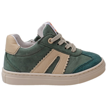 POLLINO CIPELA 4184 GREEN 