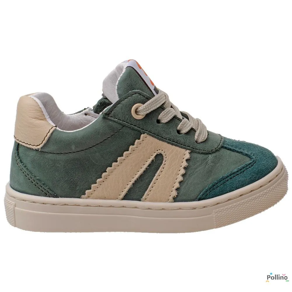 POLLINO CIPELA 4184 GREEN 