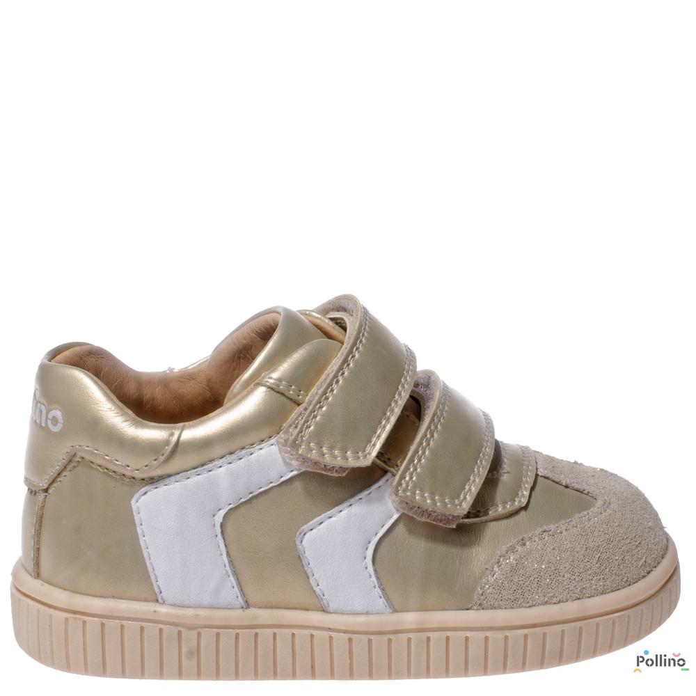 POLLINO STRADA CIPELA 4310 GOLD 