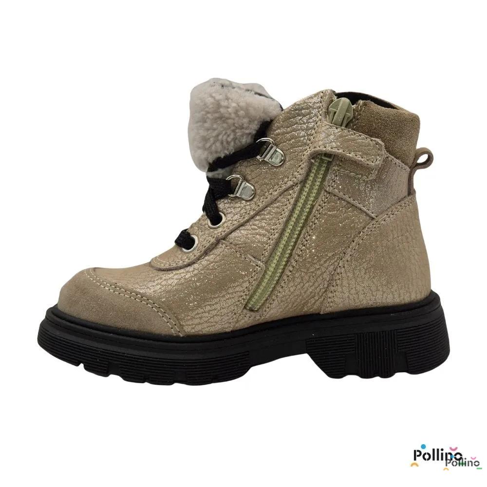 POLLINO CIPELA 4126 GOLD 